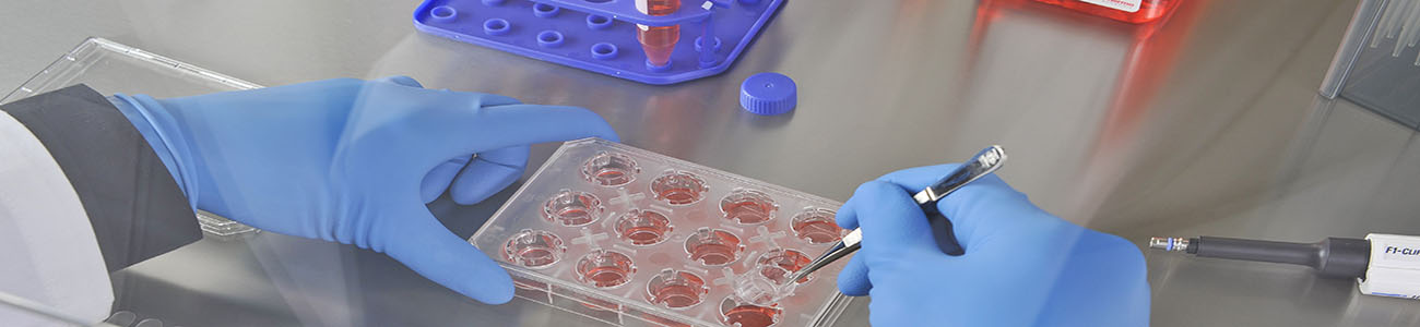 Cell Culture